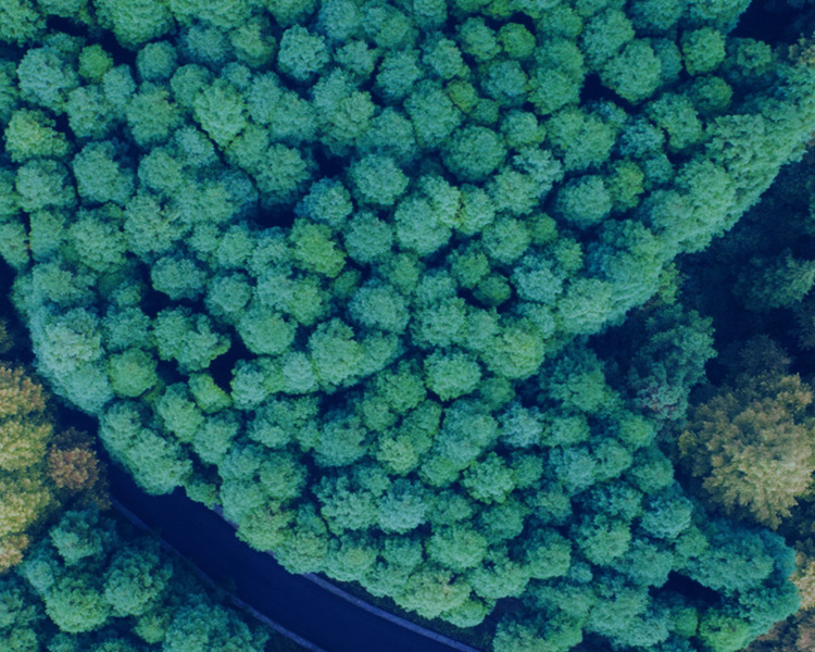 誠信為本，不忘初心